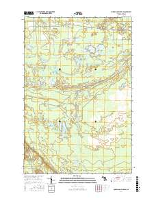 Muskallonge Lake SW 2017 topographic map thumbnail