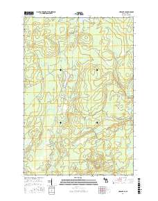 Ned Lake SE 2017 topographic map thumbnail