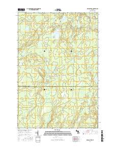 Nelson Lake 2017 topographic map thumbnail