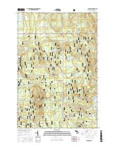 Paulding 2017 topographic map preview