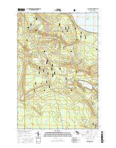 Piatt Lake 2017 topographic map thumbnail