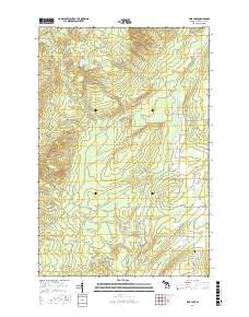 Pine Lake 2017 topographic map thumbnail