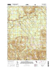 Mesick NE 2017 topographic map thumbnail