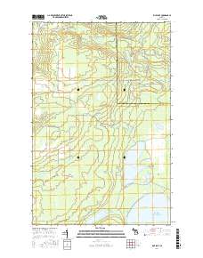 Rice Lake 2017 topographic map thumbnail