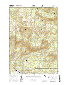 Roscommon North 2017 topographic map thumbnail