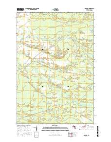 Roy Lake 2017 topographic map thumbnail