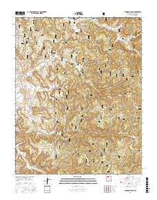 Espinosa Ranch 2017 topographic map thumbnail