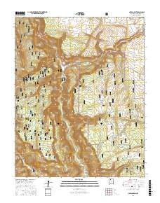 Navajo Peak 2017 topographic map thumbnail