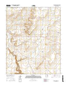 Taylor Springs 2017 topographic map thumbnail