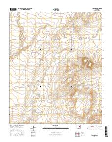 Twin Mesa 2017 topographic map thumbnail
