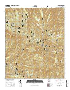 Twin Sisters 2017 topographic map thumbnail