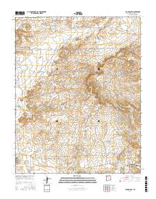 Youngs Lake 2017 topographic map thumbnail