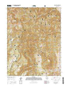 Delano Peak 2017 topographic map thumbnail
