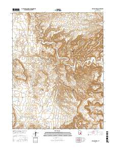 Ireland Mesa 2017 topographic map thumbnail