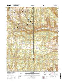 Ray Mesa 2017 topographic map thumbnail