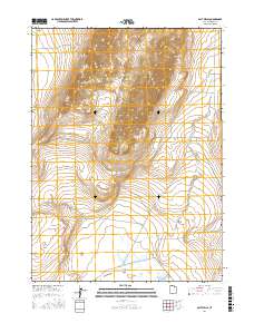 Salt Wells 2017 topographic map thumbnail