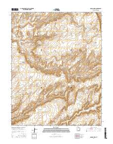 Mancos Mesa 2017 topographic map thumbnail