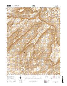 Mancos Mesa NE 2017 topographic map thumbnail