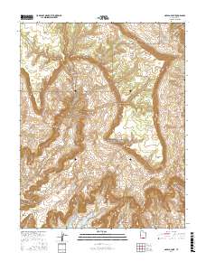 Navajo Point 2017 topographic map thumbnail