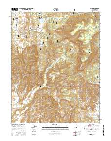Pine Lake 2017 topographic map thumbnail