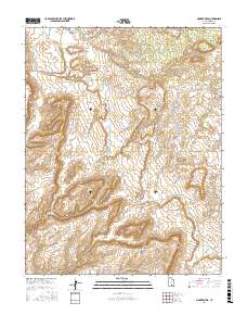 Pioneer Mesa 2017 topographic map thumbnail