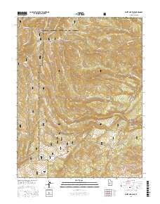 White Pine Peak 2017 topographic map thumbnail