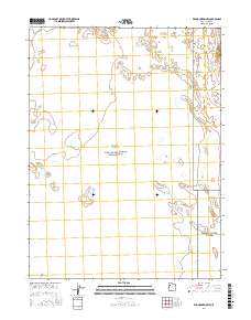 Wig Mountain NW 2017 topographic map thumbnail