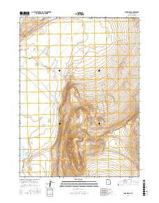 Lake Ridge 2017 topographic map thumbnail