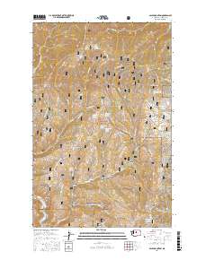 Baldy Mountain 2017 topographic map thumbnail