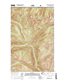Bauerman Ridge 2017 topographic map thumbnail