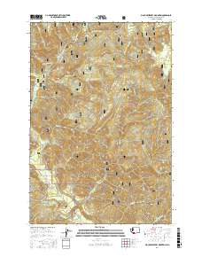 Big Huckleberry Mountain 2017 topographic map thumbnail