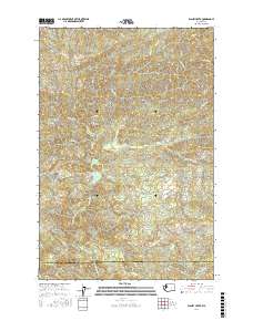 Blaney Creek 2017 topographic map thumbnail