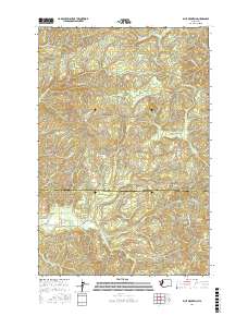 Blue Mountain 2017 topographic map thumbnail