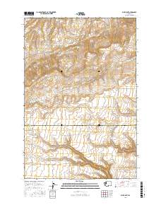 Bluelight 2017 topographic map thumbnail