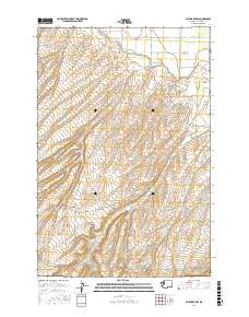 Bluelight NW 2017 topographic map thumbnail
