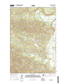 Boistfort 2017 topographic map thumbnail