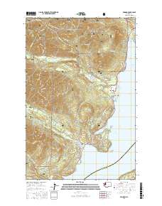Brinnon 2017 topographic map thumbnail