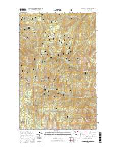 Buckhorn Mountain 2017 topographic map thumbnail