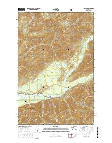 Bunch Lake 2017 topographic map thumbnail