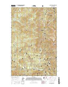 Calispell Peak 2017 topographic map thumbnail
