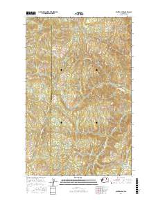Central Peak 2017 topographic map thumbnail