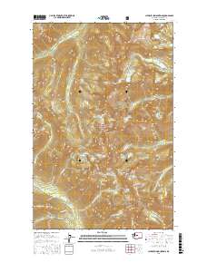 Chiwaukum Mountains 2017 topographic map thumbnail