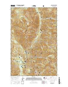 Davis Peak 2017 topographic map thumbnail