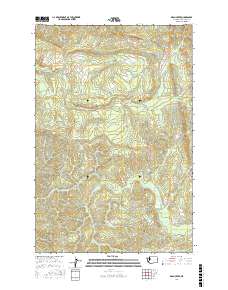 Dean Creek 2017 topographic map thumbnail