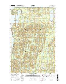 Dickey Lake 2017 topographic map thumbnail