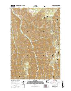 Eckler Mountain 2017 topographic map thumbnail