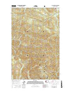 Ellis Mountain 2017 topographic map thumbnail