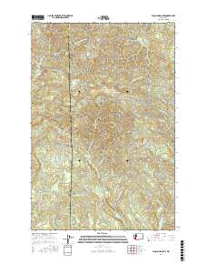 Elochoman Lake 2017 topographic map thumbnail