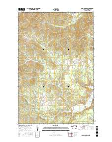 Empey Mountain 2017 topographic map thumbnail
