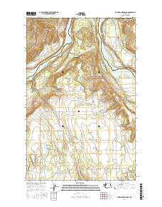 Four Mound Prairie 2017 topographic map thumbnail